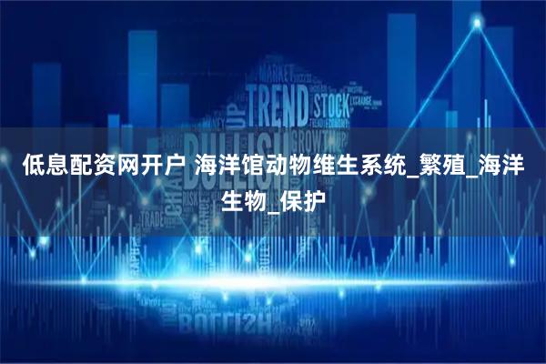 低息配资网开户 海洋馆动物维生系统_繁殖_海洋生物_保护
