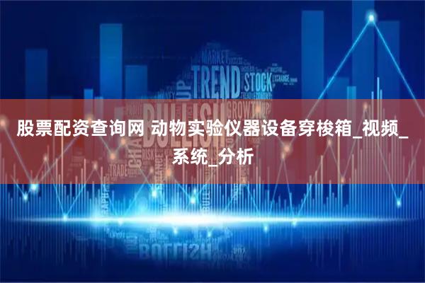 股票配资查询网 动物实验仪器设备穿梭箱_视频_系统_分析
