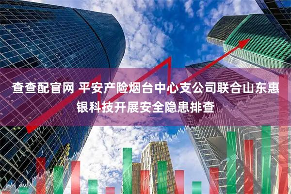 查查配官网 平安产险烟台中心支公司联合山东惠银科技开展安全隐患排查