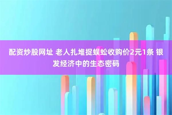 配资炒股网址 老人扎堆捉蜈蚣收购价2元1条 银发经济中的生态密码
